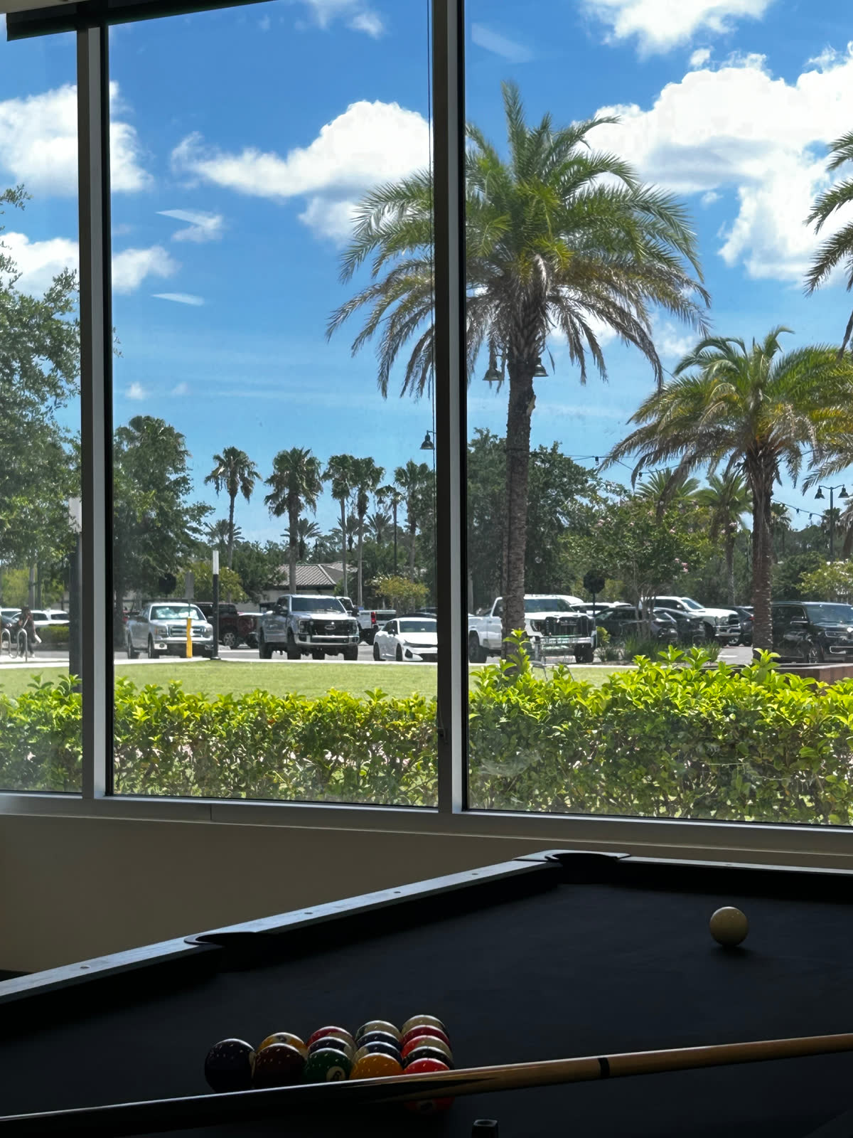 View of Nocatee palm trees and Town Center from inside the Teen Lounge at The Link